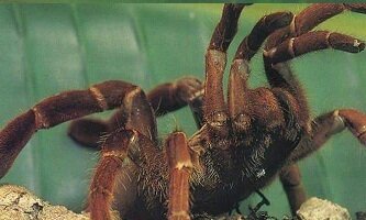 /netcat_files/16/163/h_8d3b5b67be6b4ea49009dd40cf3fb065